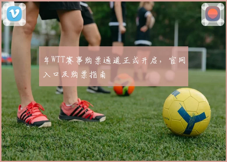 年WTT赛事购票通道正式开启,官网入口及购票指南